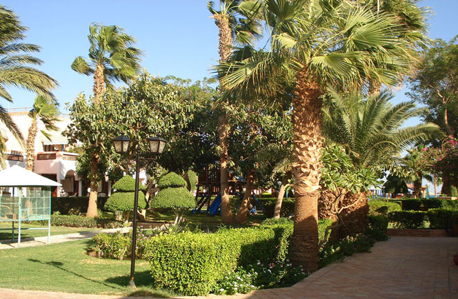 Al Mashrabiya Resort 9
