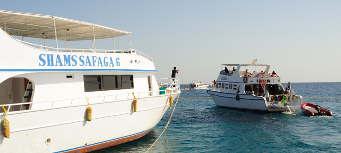 Shams Resort incl. 5 dagen duiken Mixed Pack Safaga Egypte 9