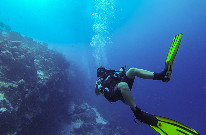 Leren duiken Curacao Livingstone Jan Thiel Afbeelding