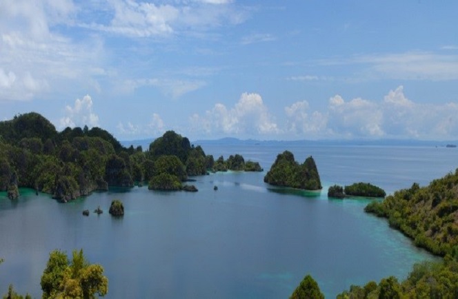 Gangga Island Sulawesi en Raja Ampat West Papua 6