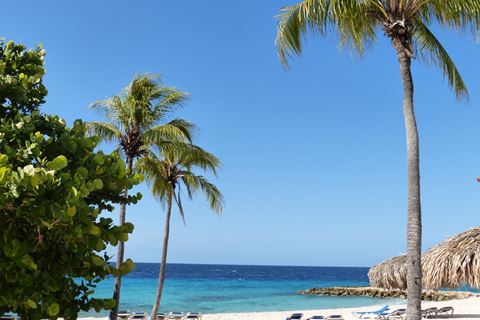 Hilton Curacao Resort 22